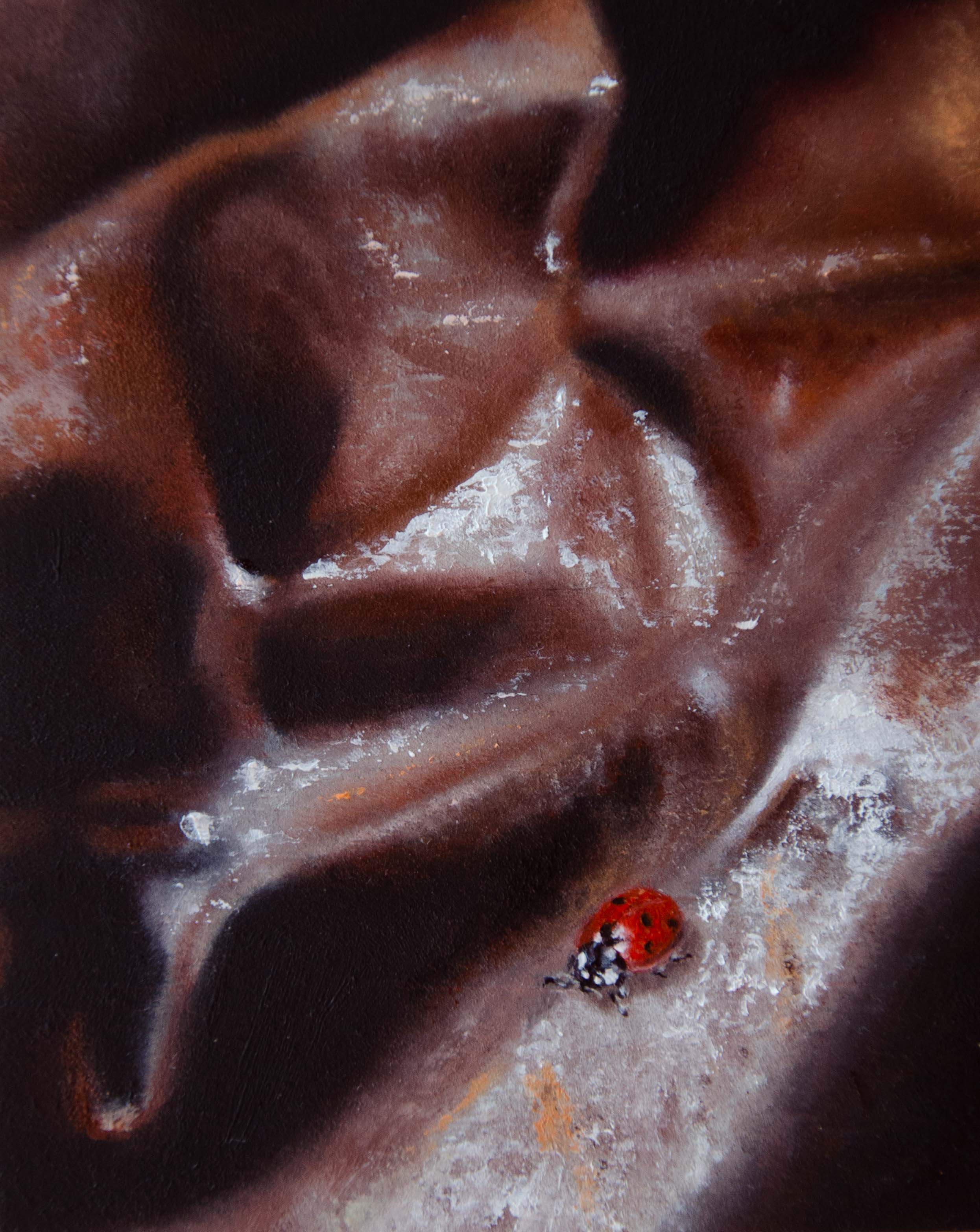 La coccinelle